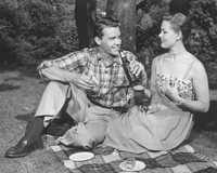 Your Vintage Picnic